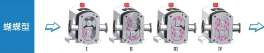 进口RP系列转子泵(图3) image.png