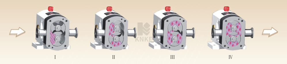 进口转子泵(图1) image.png