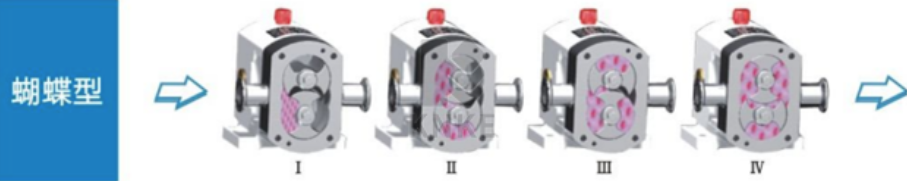 进口转子泵(图3) image.png